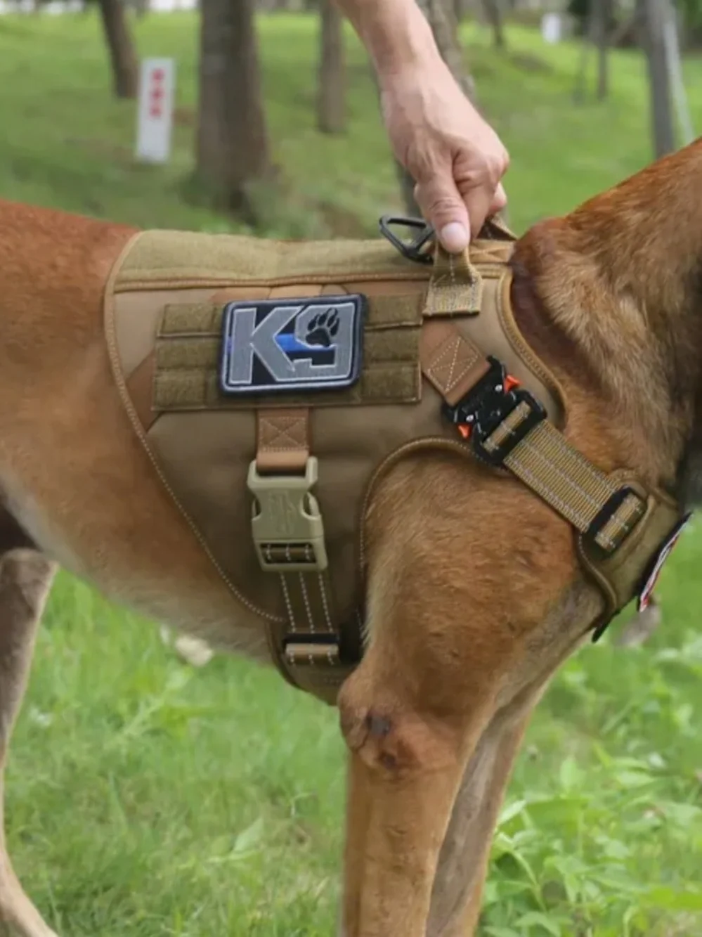 ICEFANG Tactical dog harness L